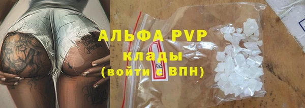 кокс Елизово