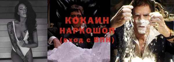 кокс Елизово