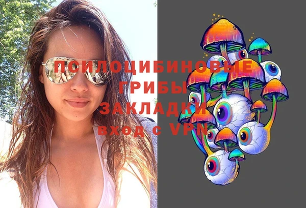 а пвп мука Ельня
